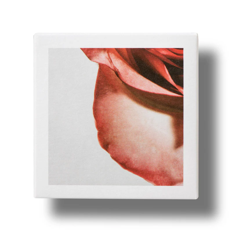Apothecary Wild Rose Brighter Days Intense-Cream - Image 4