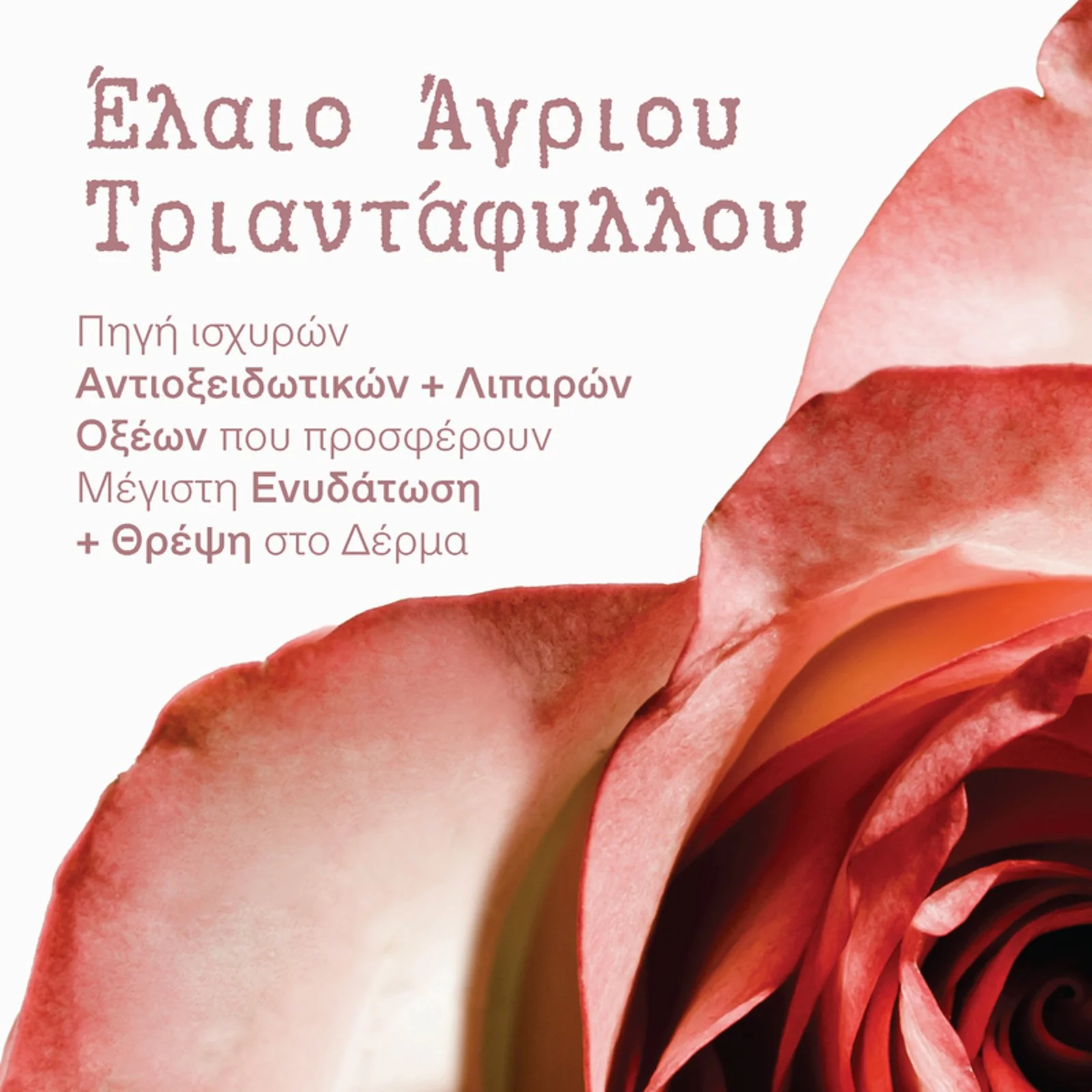 Apothecary Wild Rose Spotless Serum - Image 5