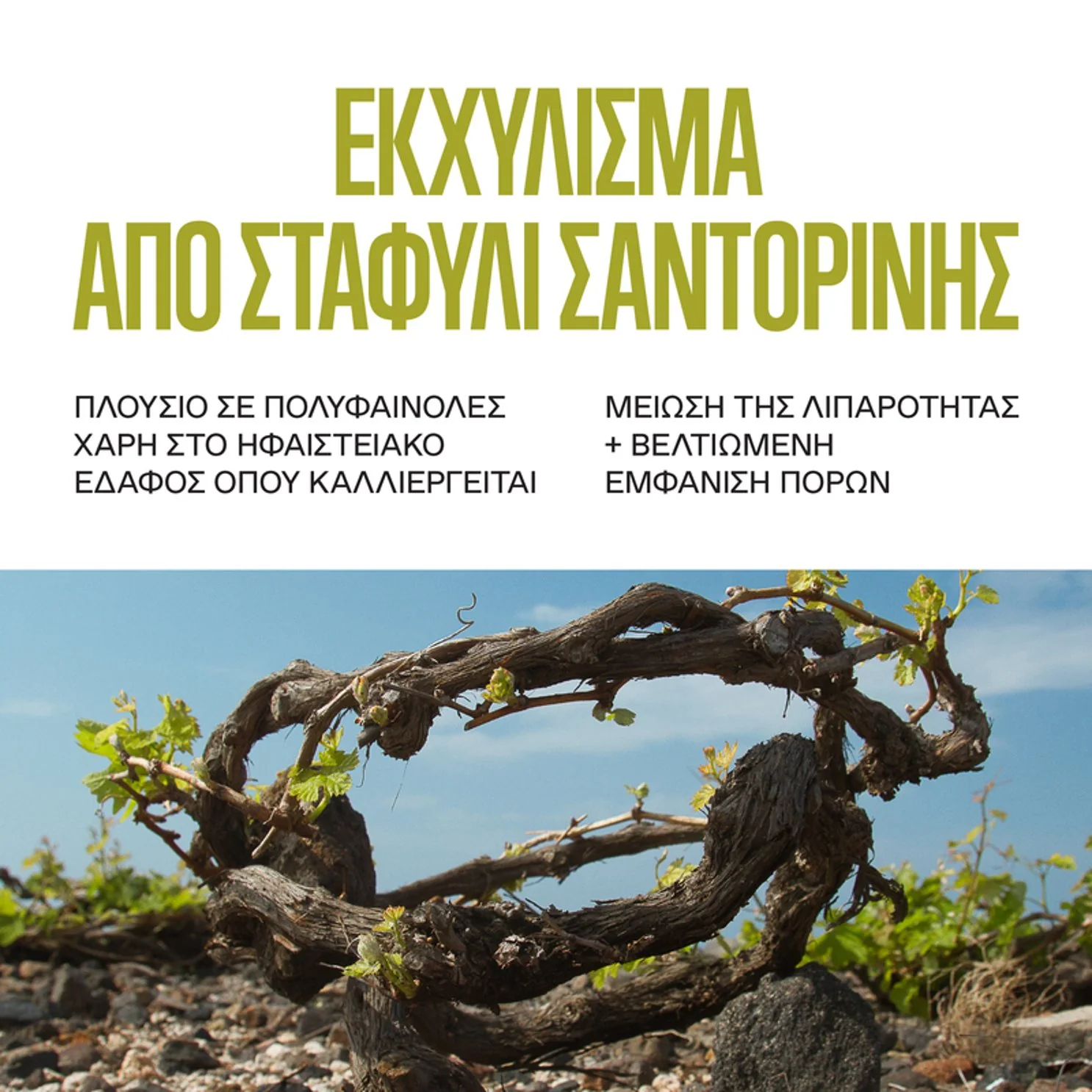 Santorini Grape Poreless Skin Perfecting Toner - Image 5