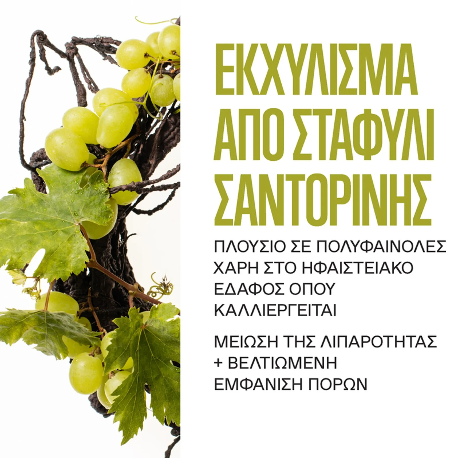 Santorini Grape Volcanic SkinReset Mask - Image 7