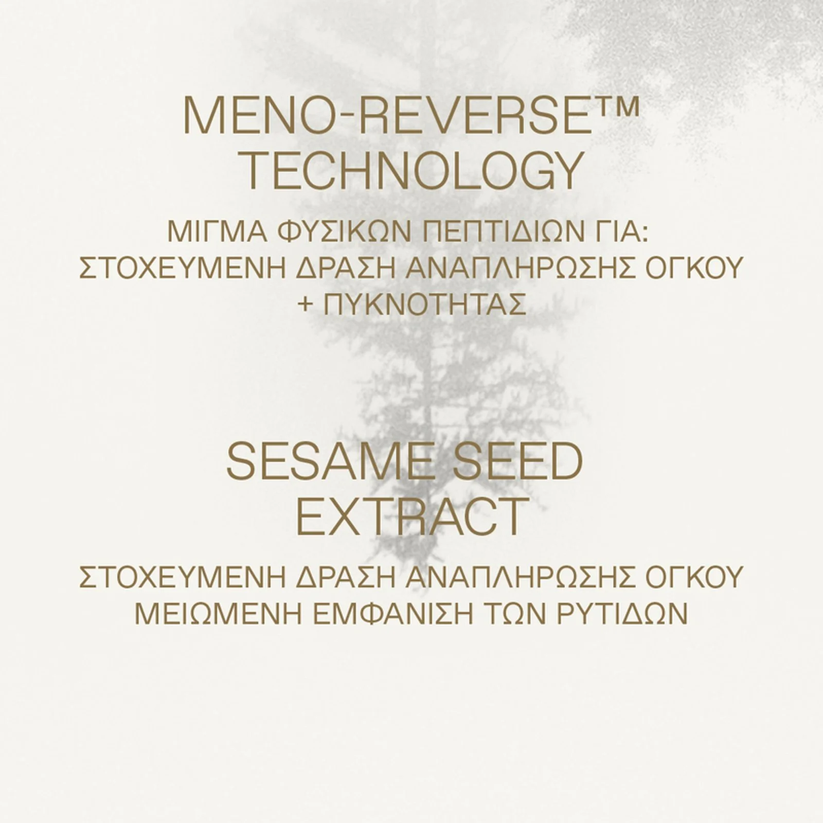 White Pine Ultra-Replenishing Deep Wrinkle Cream Dry-Dehydrated Skin - Image 5