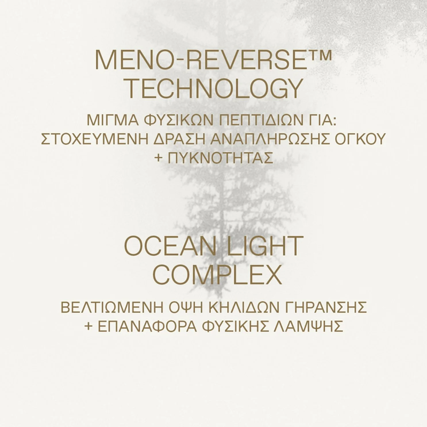 White Pine Luminous Awakening Moisturizer SPF 20 - Image 3